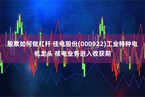 股票如何做杠杆 佳电股份(000922)工业特种电机龙头 核电业务进入收获期