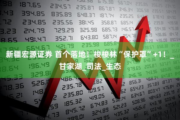 新疆宏源证券 首个落地！梭梭林“保护罩”+1！_甘家湖_司法_生态