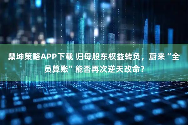 鼎坤策略APP下载 归母股东权益转负，蔚来“全员算账”能否再次逆天改命？